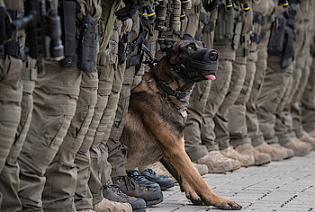 Fotowettbewerb PresseFoto Hessen-Thüringen 2017