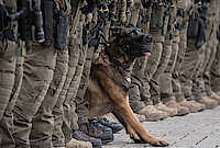 Fotowettbewerb PresseFoto Hessen-Thüringen 2017