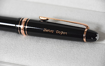 "Feder für die Pressefreiheit"  vom DJV-Hessen  / Foto: Wolfgang Kühner